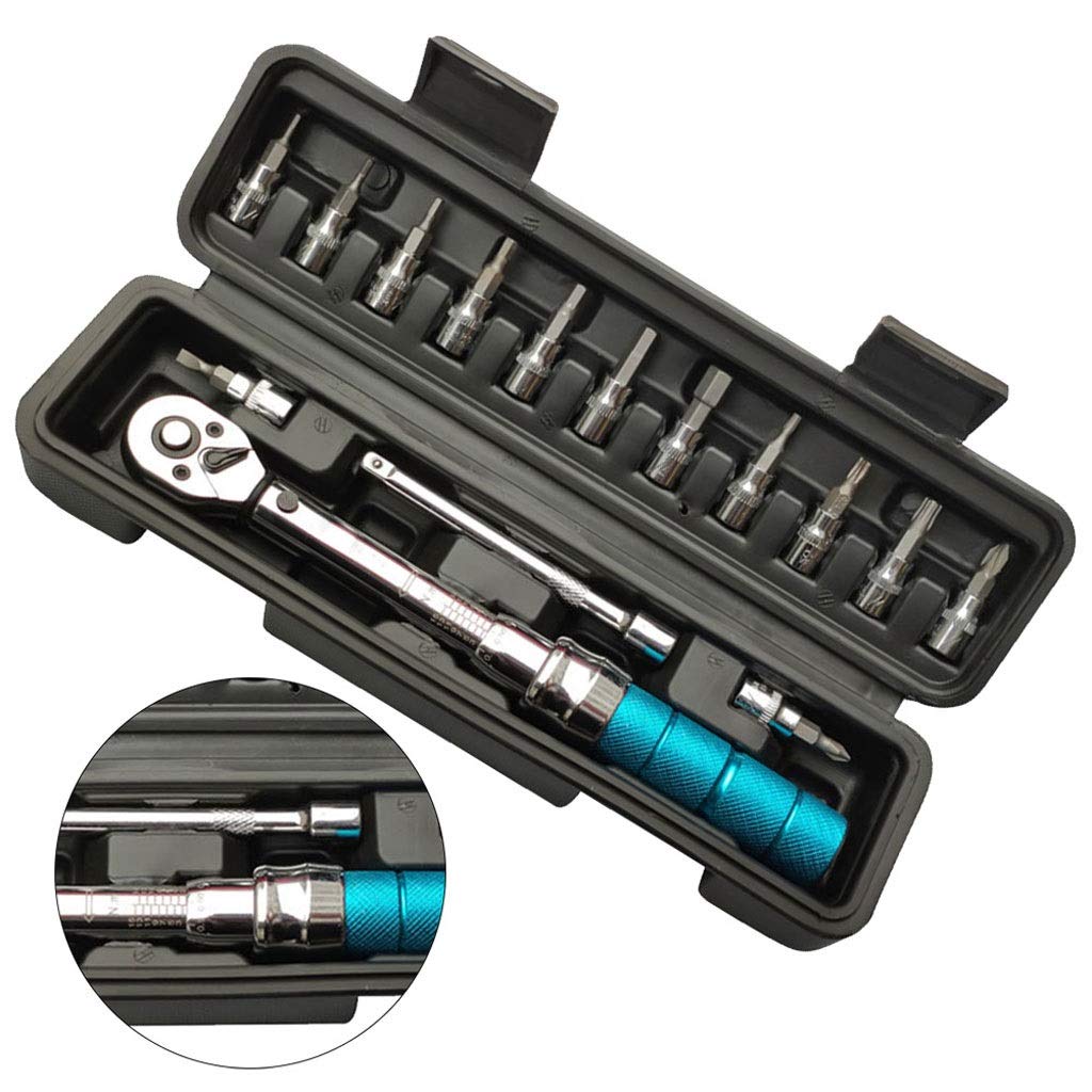 15-Piece Bicycle Repair Tool & Torque Wrench Set